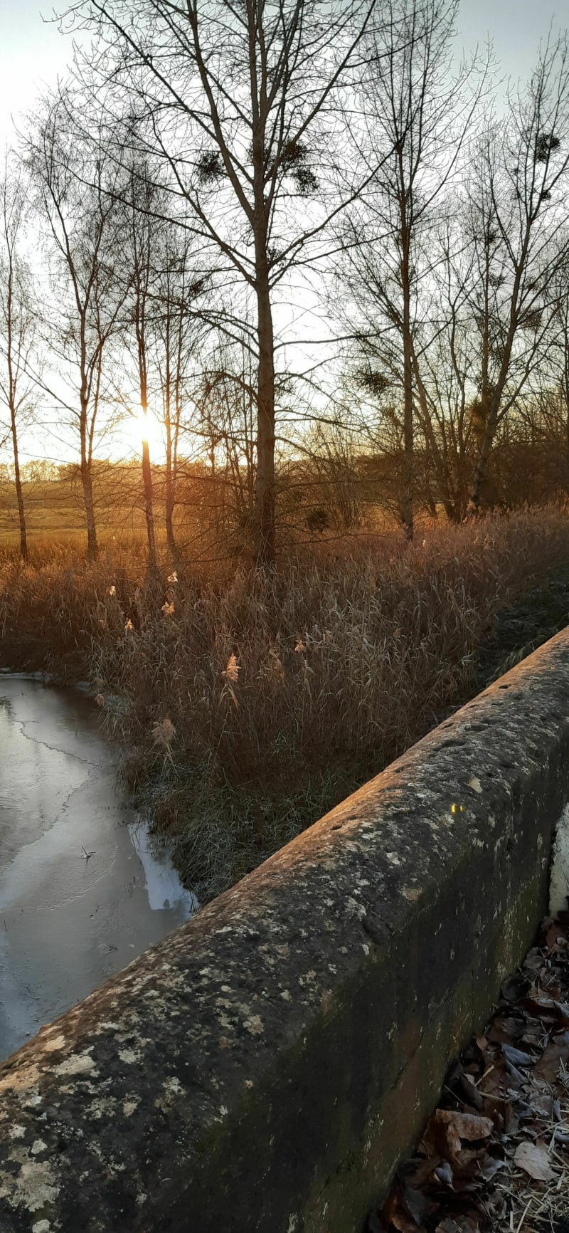 Balade campagnarde à Nouillonpont - Nouillonpont