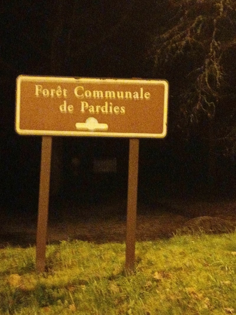 Repérage de nuit dans les bois de Pardies - Pardies