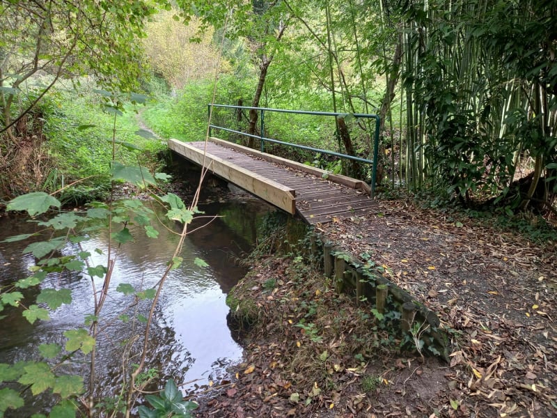 Balade dans la nature de la Membrolle sur Choisille - La Membrolle-sur-Choisille