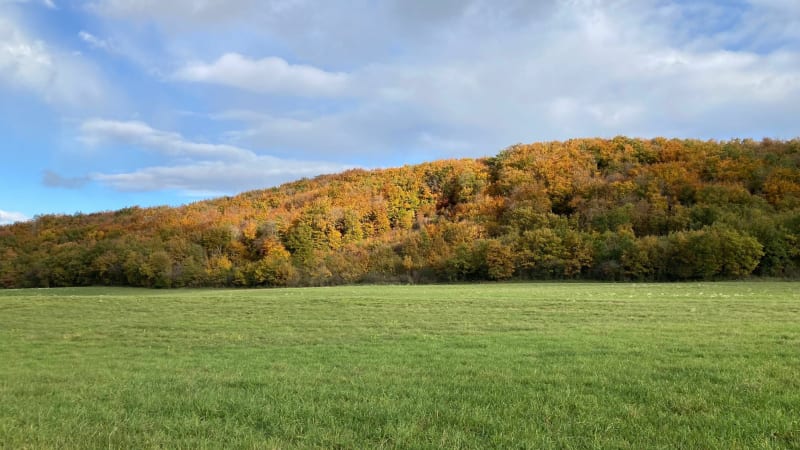 Balade sur les hauteurs de Crémieu et Villemoirieu - Crémieu