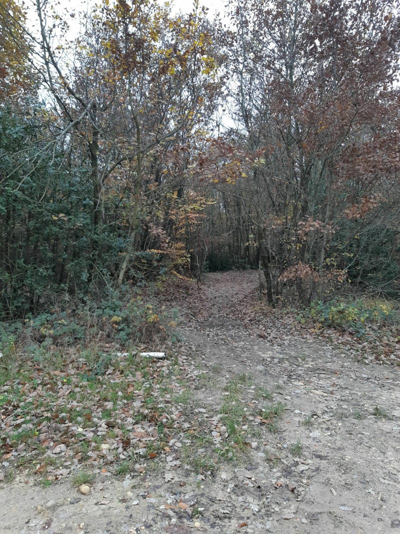 Jardin entouré de merveilleux par la Forêt des Révolets - Jardin