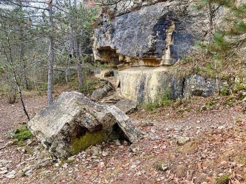 Sentier des Combes et forêt à Ahuy - Ahuy