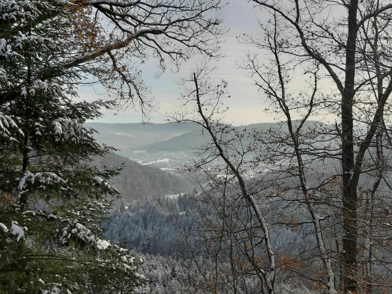 Promenade du Rethal - Plaine-de-Walsch