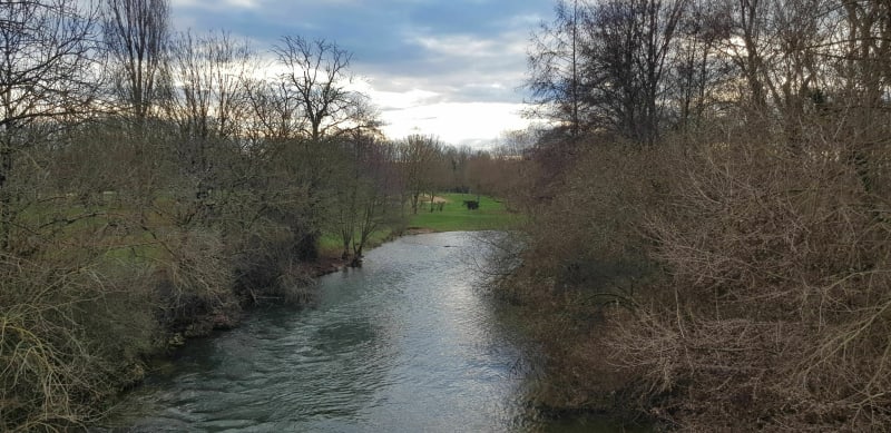 À travers Ligny le Châtel - Ligny-le-Châtel