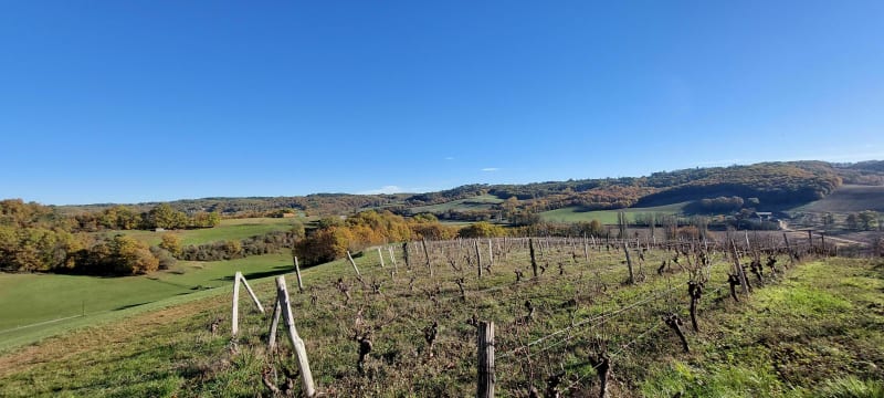 La boucle de La Valière - Saint-Martin-le-Redon