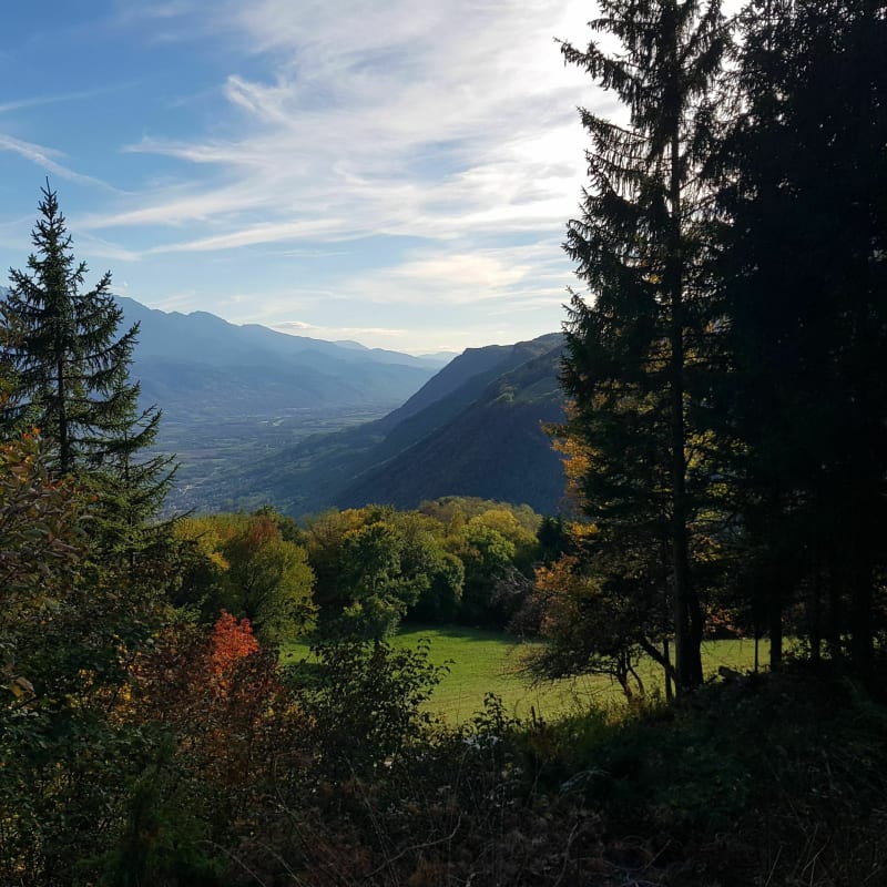 Ondergroei en panorama bij Sainte-Marie-du-Mont - Sainte-Marie-du-Mont