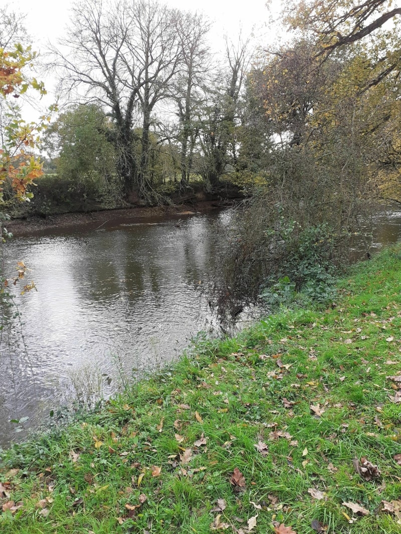 Betton : le long du canal vers Chevaigné et sa campagne - Betton
