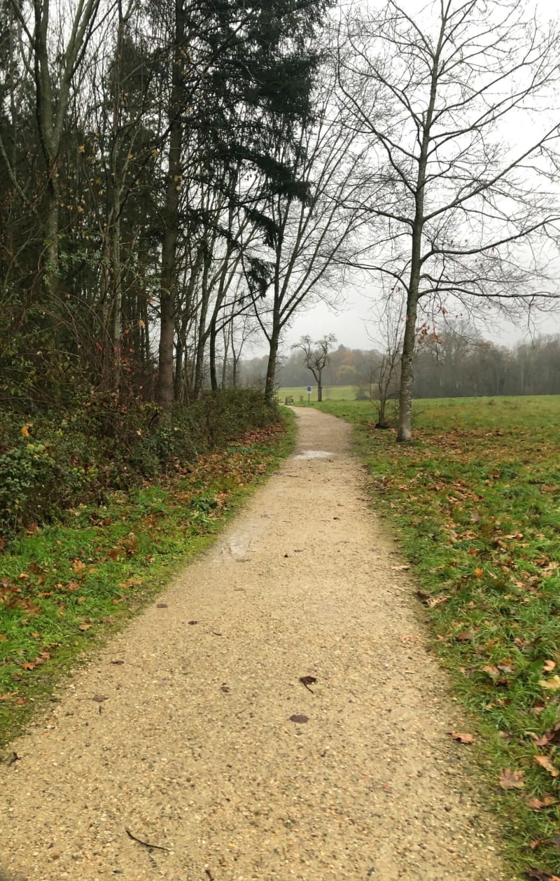 Randonnée autour de Ferrières-en-Brie - Ferrières-en-Brie