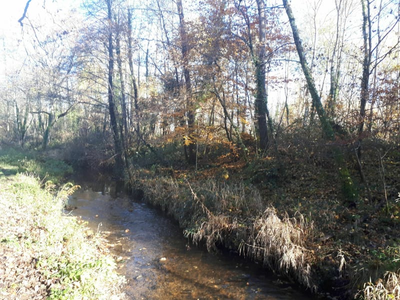 Entre bois et campagne autour de Chaptelat - Limoges