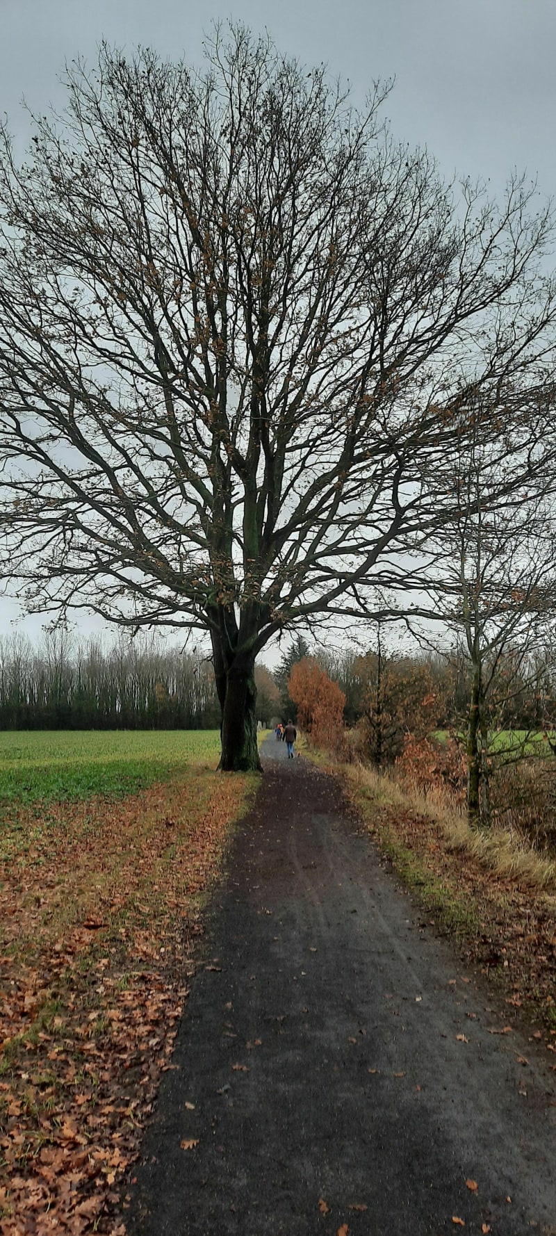 La voie verte de la Pévèle : Boucle Avelin -Mérignies - Avelin - Avelin