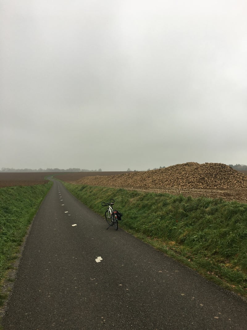 Balade au pays des betteraves - Servaville-Salmonville