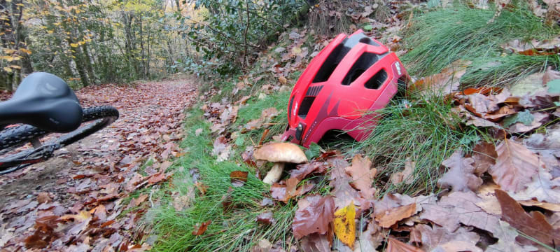 VTT à Arfons et forêt de la Vialette - Arfons