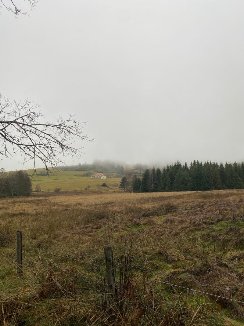 Sur la piste du chevreuil dans les Bois du Clovis - Églisolles