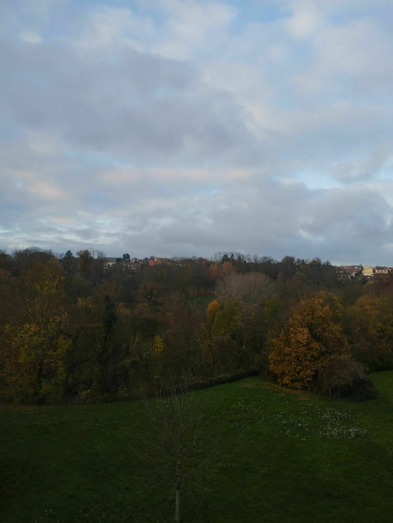 Wandeling in Morbras Park - Sucy-en-Brie