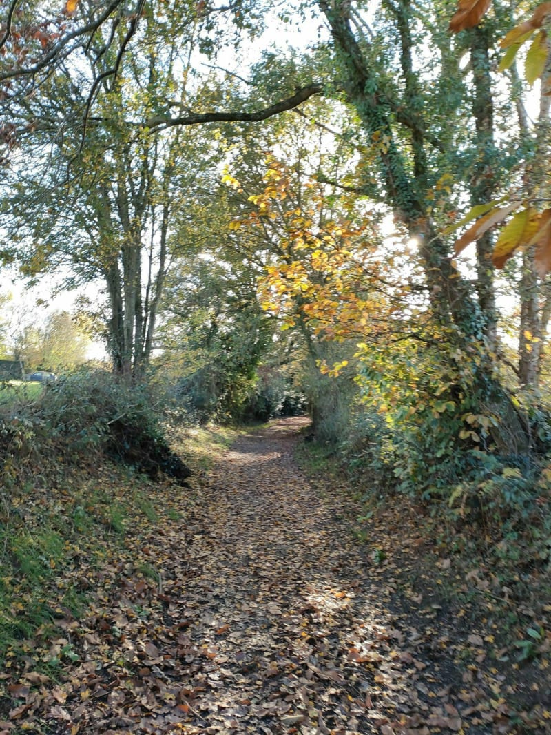 Super balade dans les chemins creux de Feneu - Feneu