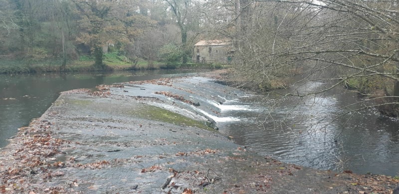 Balade le long de la Boulogne - Rocheservière
