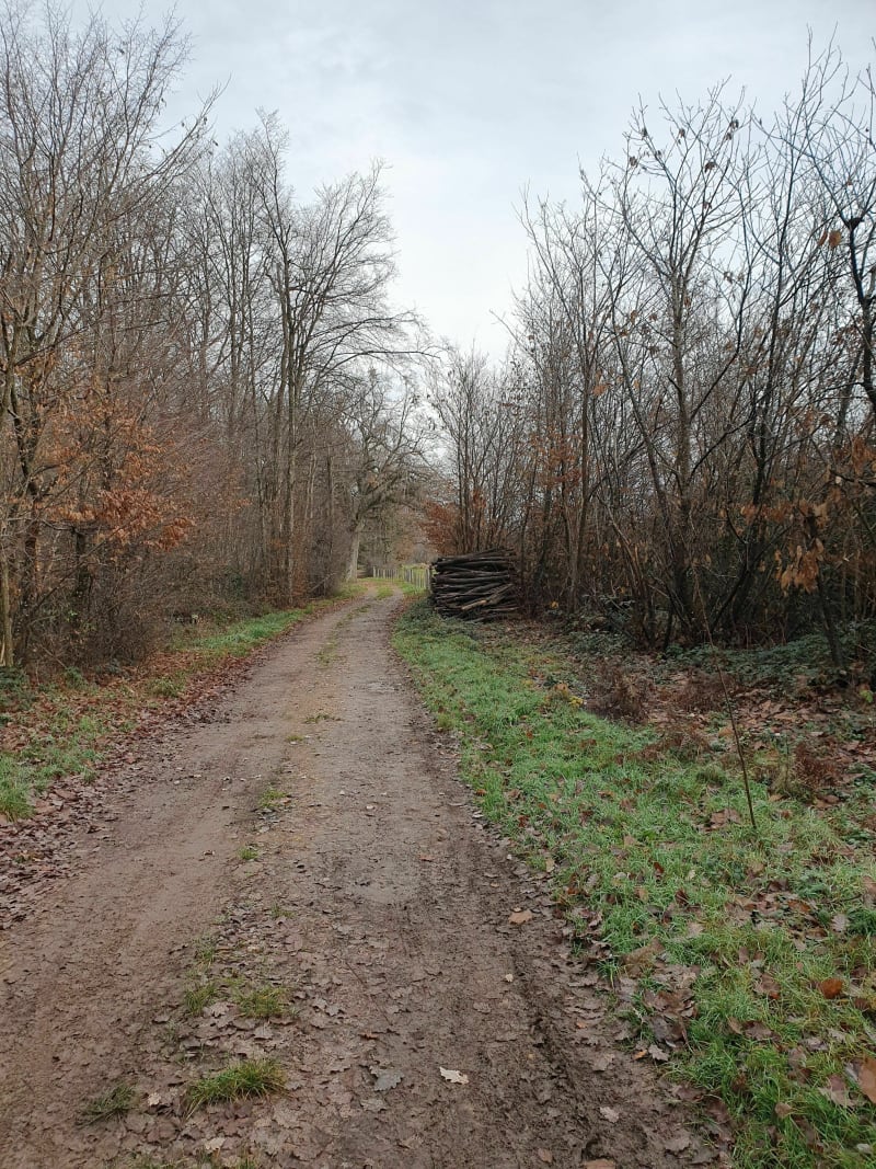 Ballade au cœur du bois Favan - Pisieu