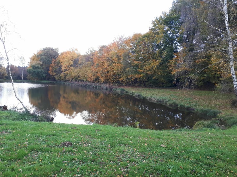 Circuit Saint Eloi - Chaptelat - Chaptelat