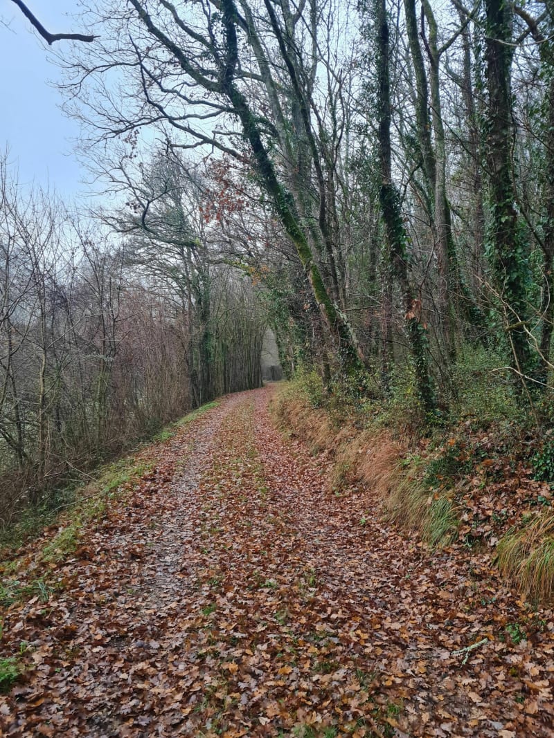 Petit tour de Cellefrouin - Cellefrouin