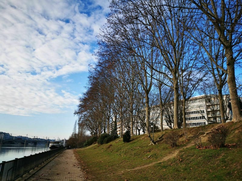 Quais de Seine et mairie de Asnières sur Seine - Asnières-sur-Seine
