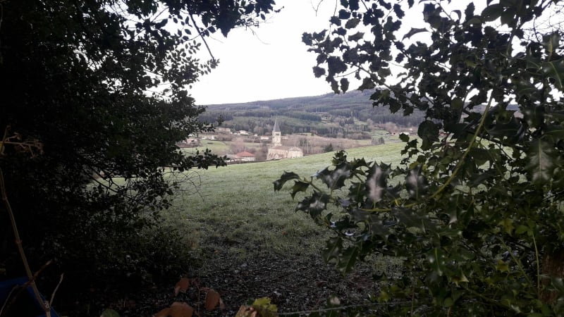 Un petit tour au Mont Tourvéon - Chénelette