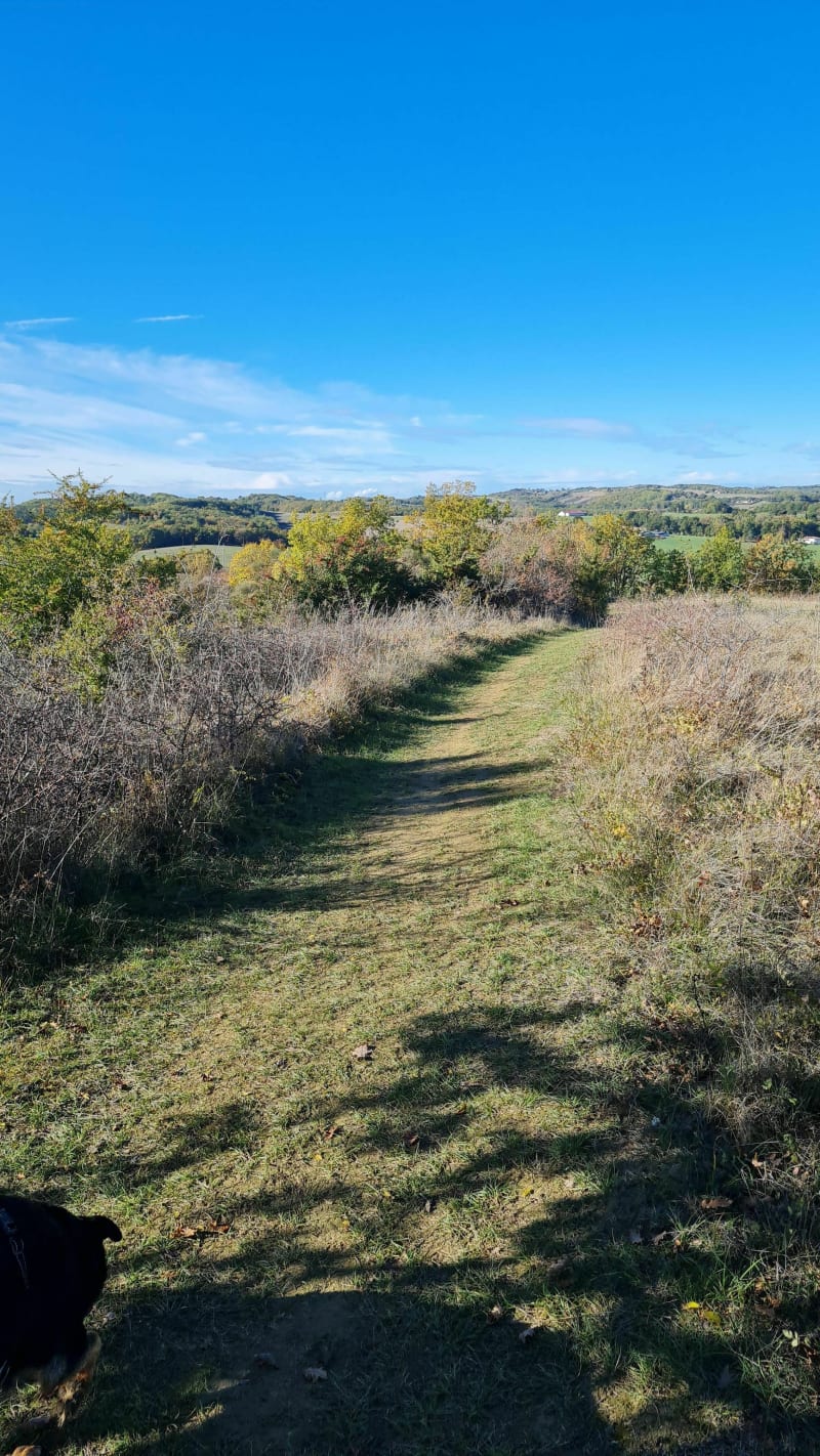 Parcours en partant de Pavie - Pavie