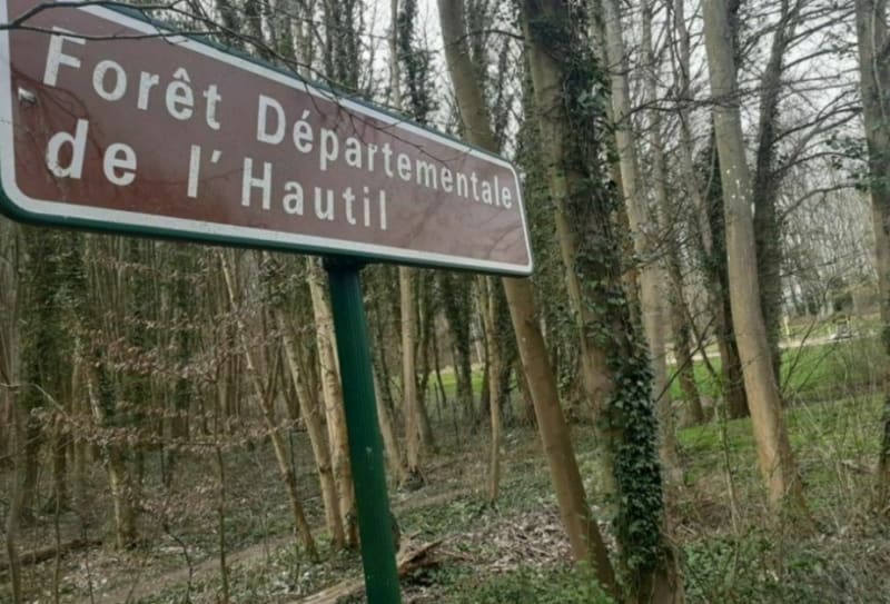 Tour forestier à l'Hautil - Chanteloup-les-Vignes