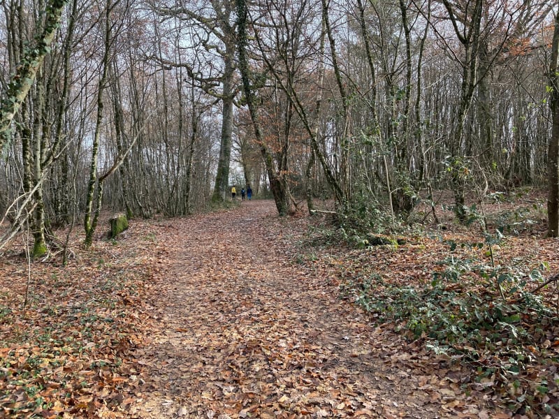 Randonnée autour de Magny - Magny