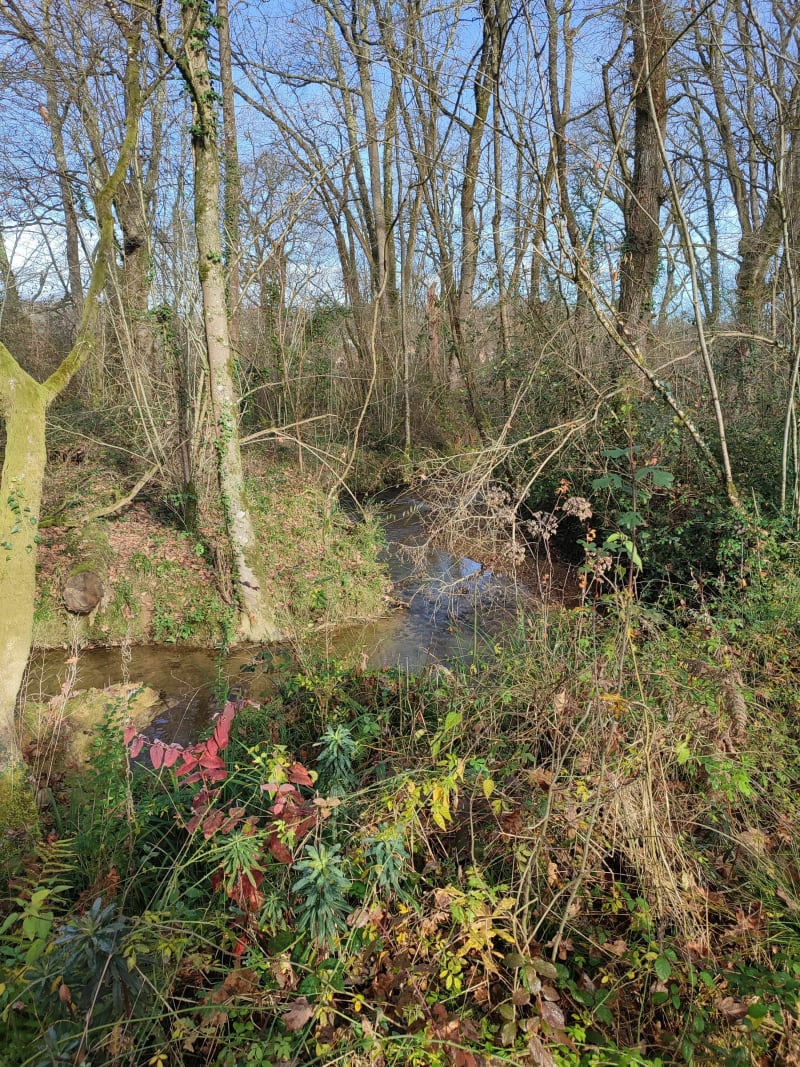 Balade dans la campagne de Montardon - Montardon