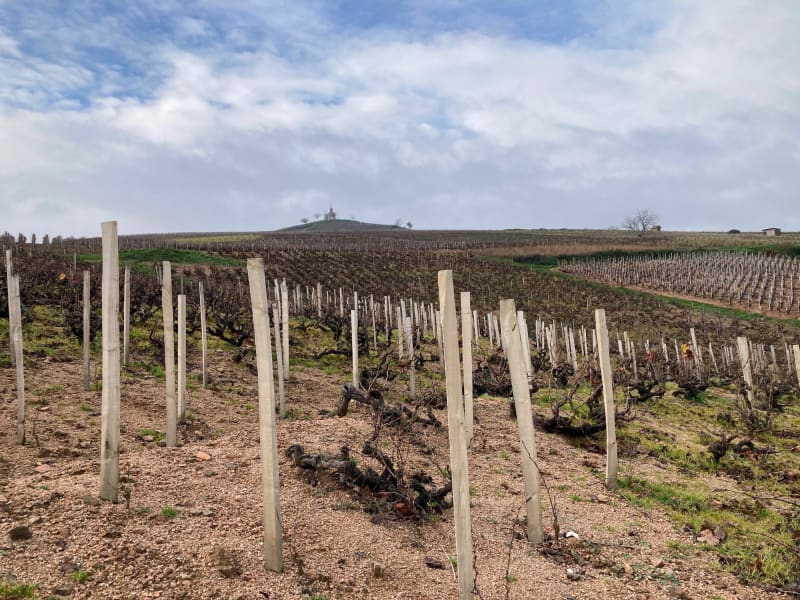 Autour de La Chapelle de la Madone de Fleurie - Fleurie