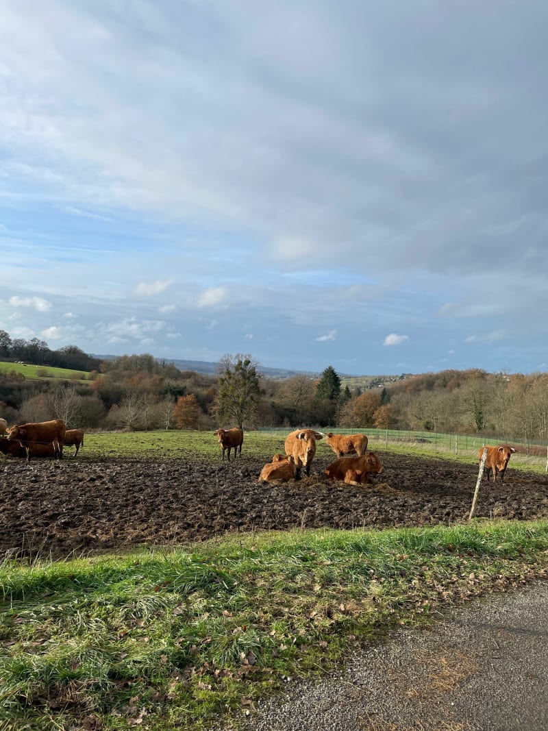 Promenade Verneuil - Verneuil-sur-Vienne