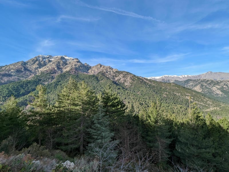 Vizzavona vue sur monte d'or et Monte Rotondo - Vizzavona