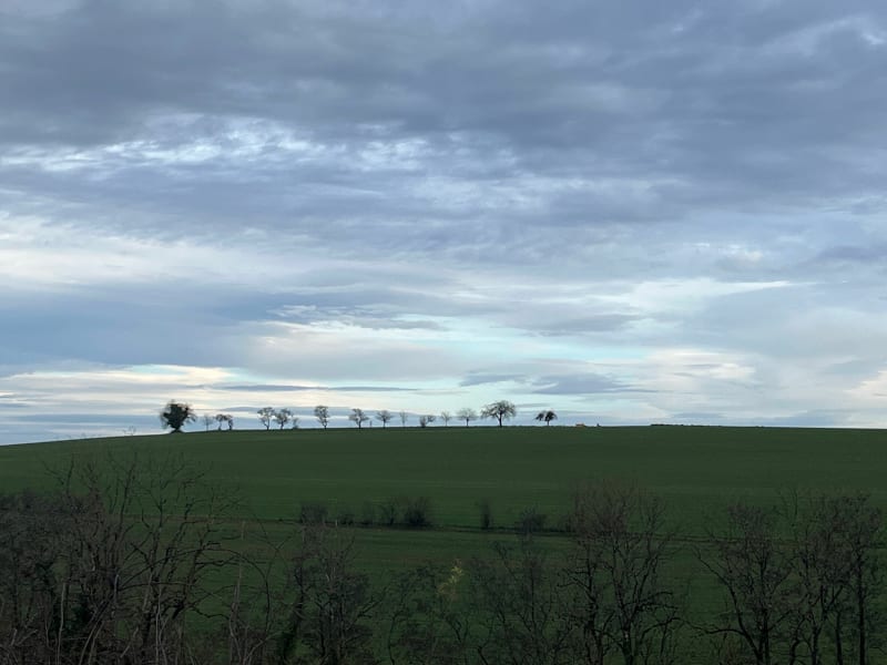 Balade forêt de valfroicourt - Valfroicourt