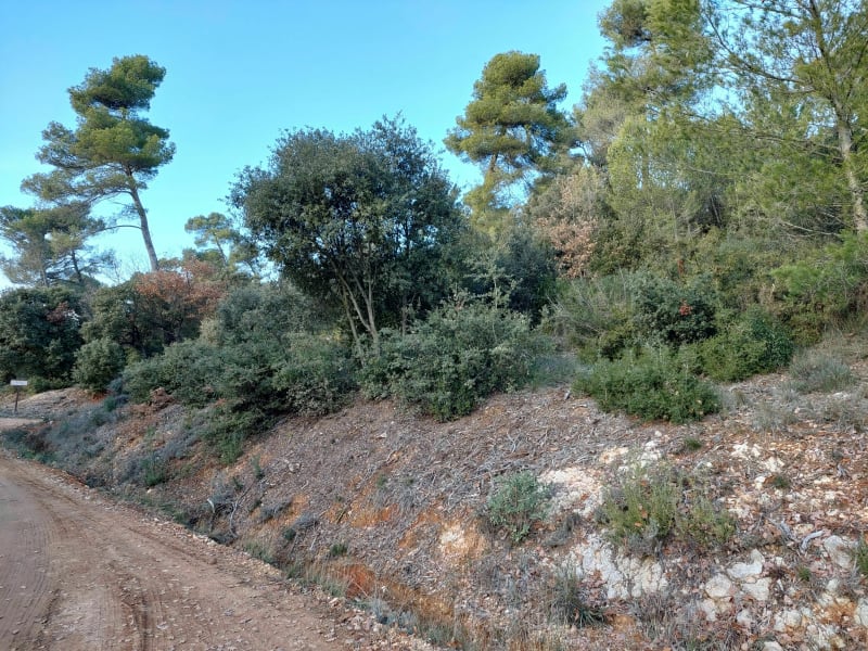 Promenade de Bois Madame - La Bastide-des-Jourdans