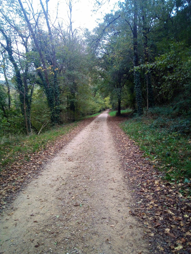 Le sentier de la loutre - Saint-Antonin-Noble-Val