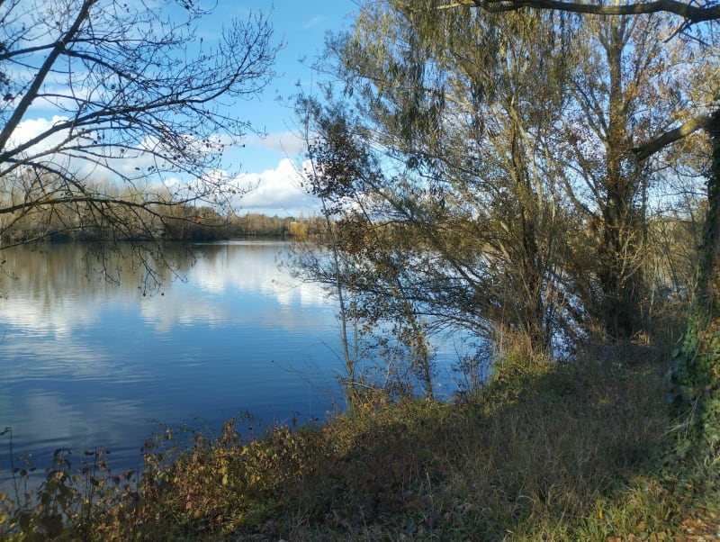 Tour du lac de Pourvil - Lavernose-Lacasse