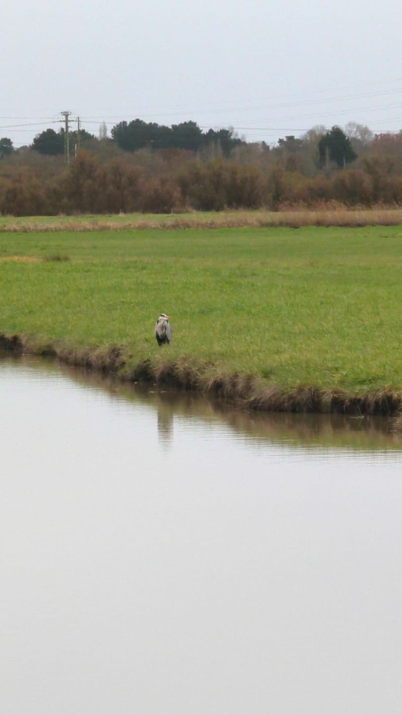 Du marais au centre bourg de Soullans - Soullans