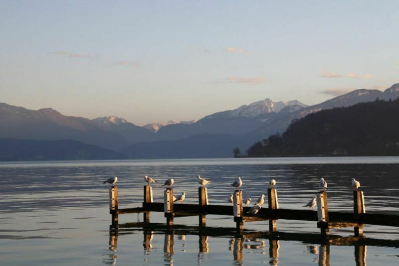 Du petit port d'Annecy-le-Vieux à la Puya - Annecy