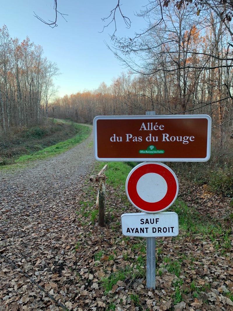 Balade en forêt de Montbartier - Montbartier