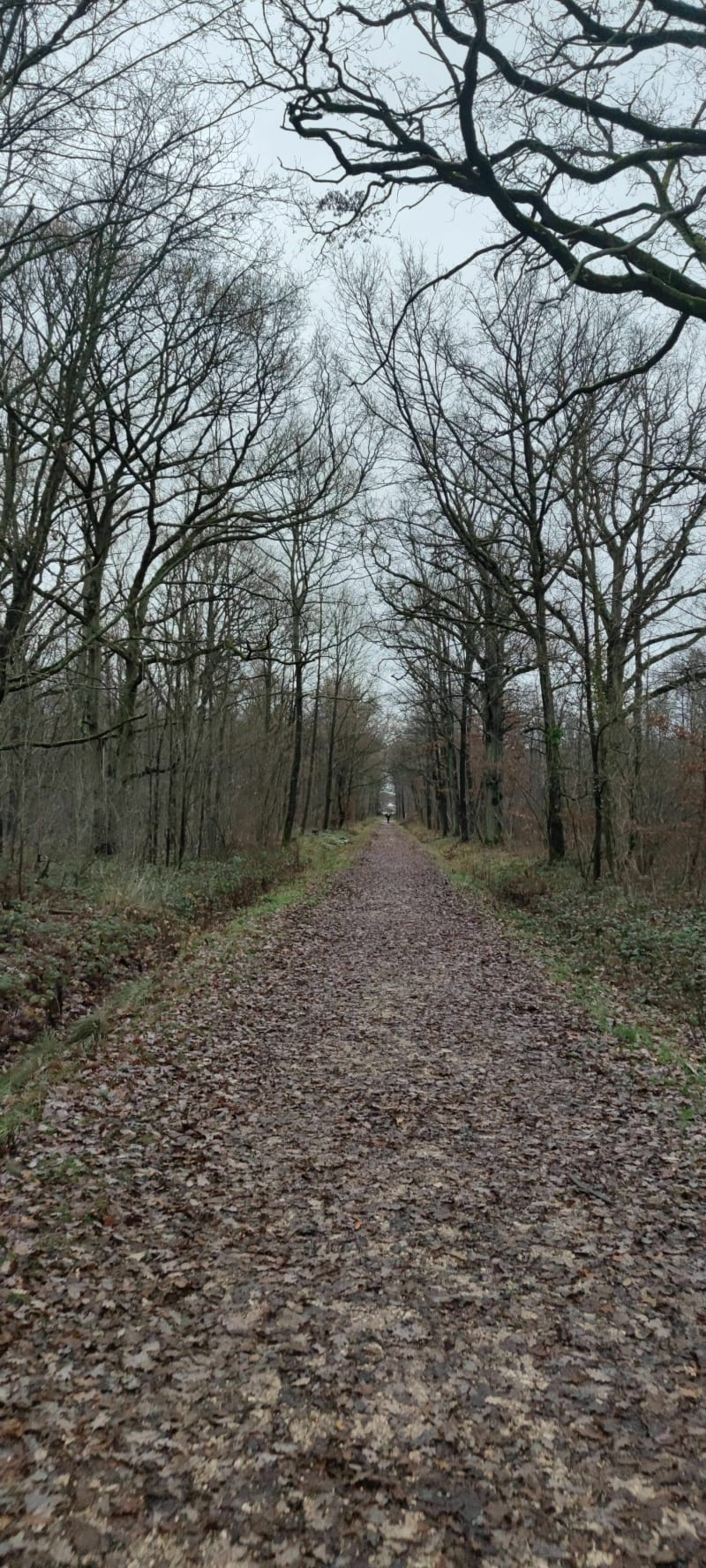 Balade en forêt notre dame en partant du poney club - Sucy-en-Brie