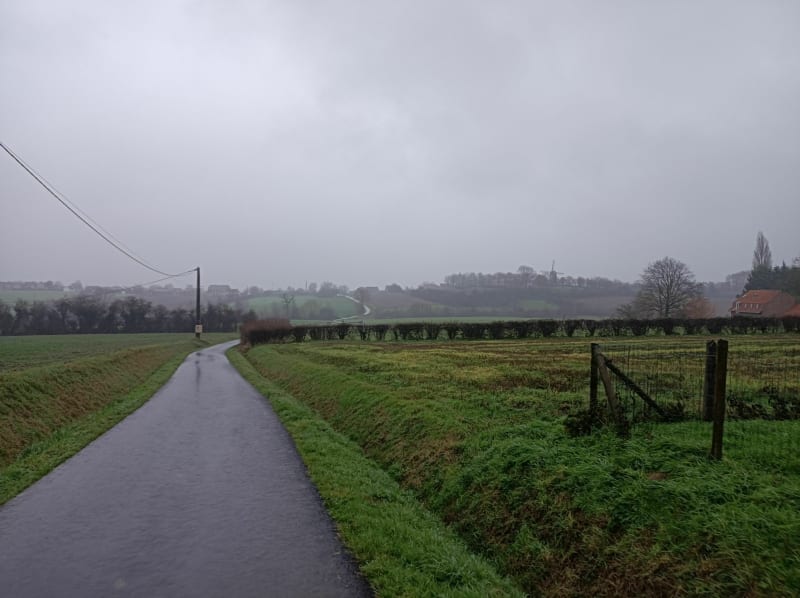Campagne Boeschepe par la route du vieux Château - Boeschepe
