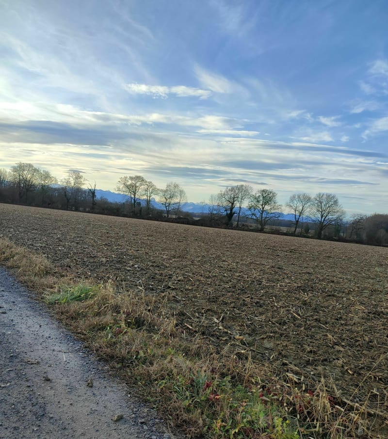 Tour de Montardon en passant par le lac - Montardon
