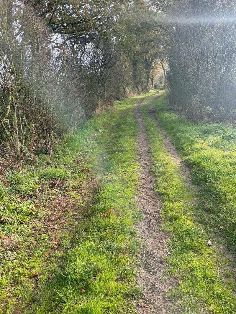Boucle autour de Begrolles en passant par Le May - Bégrolles-en-Mauges