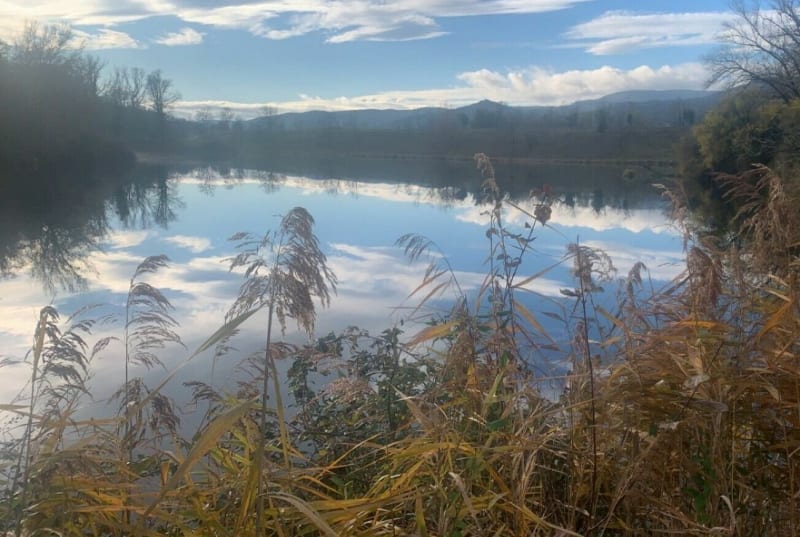 Entre canal du Rhône et Lone - Montélimar