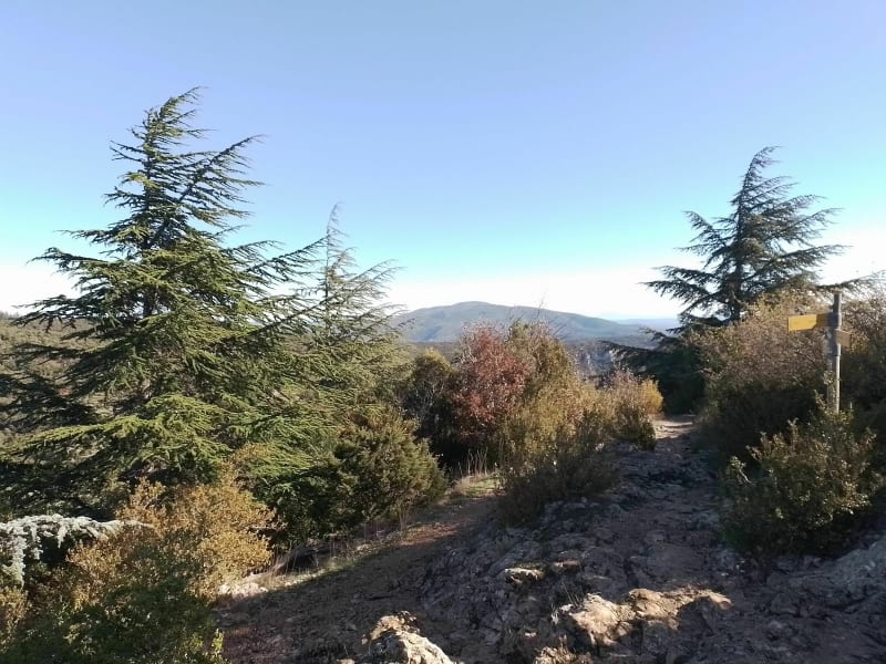 Boucle sur le sentier des Portalas - Bonnieux