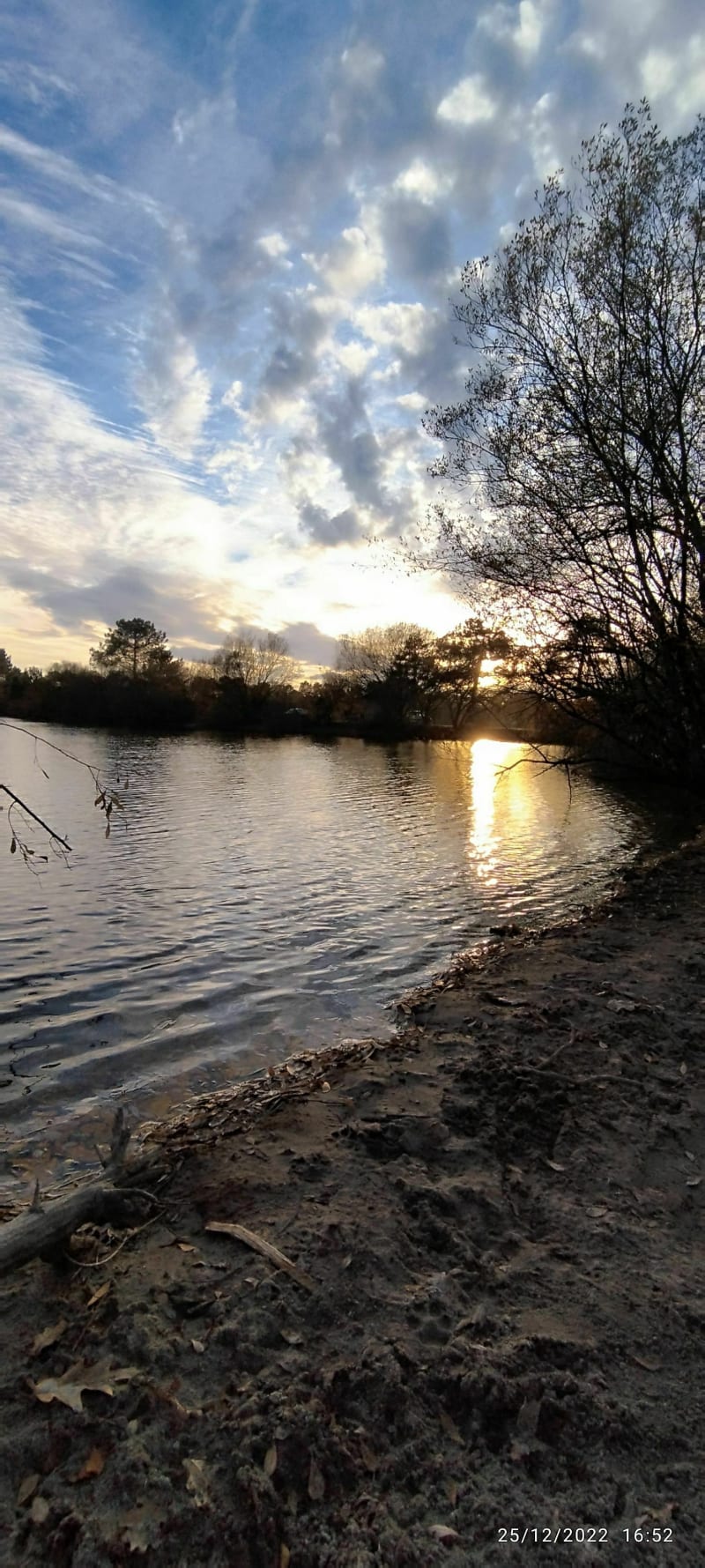 Forêt du lac de la Madeleine - Gujan-Mestras