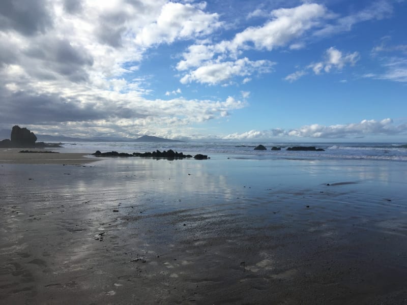 Van de oceaanstranden tot het struikgewas en het meer van Mouriscot - Bidart