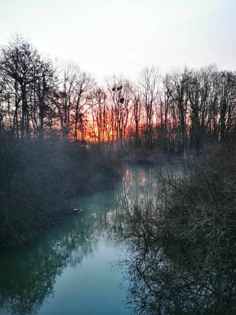 Balade matinale le long de la Seine en Conflans et Marcilly - Conflans-sur-Seine