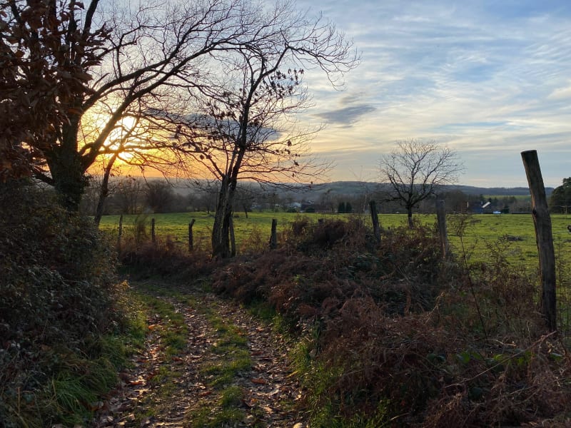 Sur les hauteurs de Juillac - Juillac