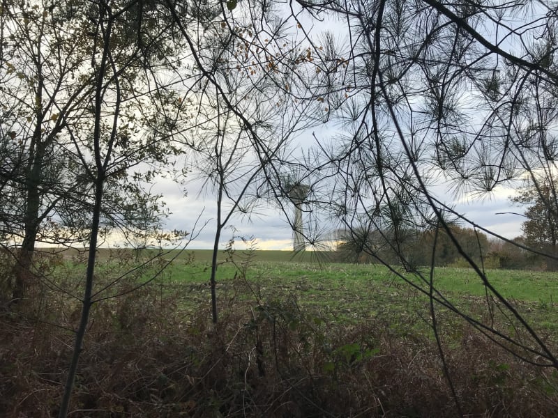 Chemin de Tort de Souslens - Castaignos-Souslens